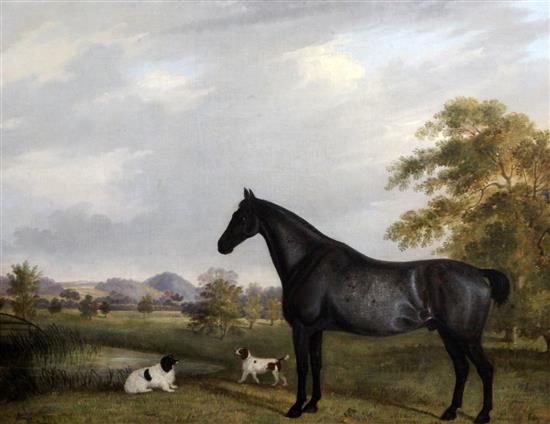 H.C. Smith (19th C.) Portrait of a black horse and two dogs in a landscape 26 x 33in.
